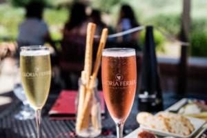 2022年卡塔尔世界杯，球寒人难眠世界杯球寒